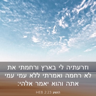Picture 03 - הושע 2:23 HEB - וזרעתיה לי בארץ ורחמתי את - Bible Verse Picture