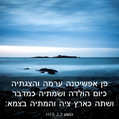 Picture 03 - הושע 2:3 HEB - פן אפשיטנה ערמה והצגתיה - Bible Verse Picture