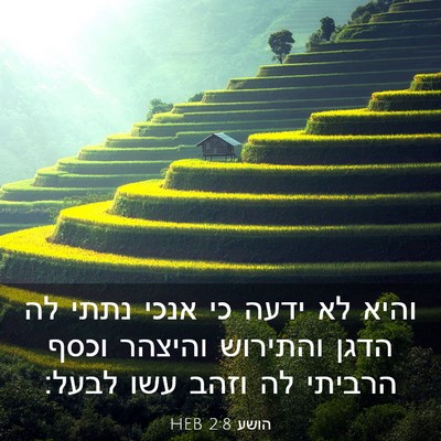 Picture 03 - הושע 2:8 HEB - והיא לא ידעה כי אנכי נתתי - Bible Verse Picture