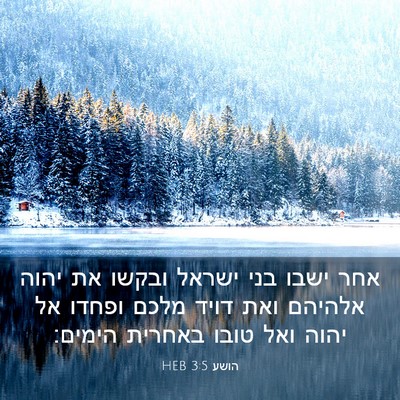 Picture 03 - הושע 3:5 HEB - אחר ישבו בני ישראל ובקשו את - Bible Verse Picture