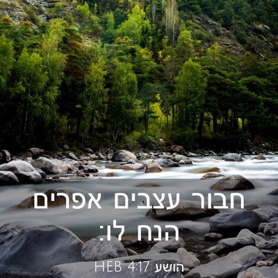 Picture 03 - הושע 4:17 HEB - חבור עצבים אפרים הנח - Bible Verse Picture