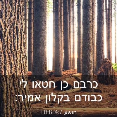 Picture 03 - הושע 4:7 HEB - כרבם כן חטאו לי כבודם בקלון - Bible Verse Picture