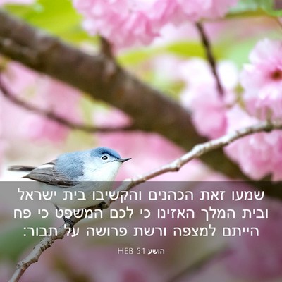 Picture 03 - הושע 5:1 HEB - שמעו זאת הכהנים והקשיבו - Bible Verse Picture