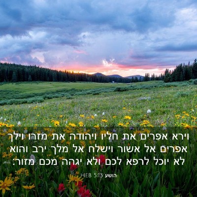 Picture 03 - הושע 5:13 HEB - וירא אפרים את חליו ויהודה - Bible Verse Picture