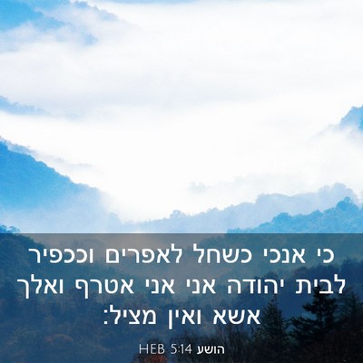Picture 03 - הושע 5:14 HEB - כי אנכי כשחל לאפרים וככפיר - Bible Verse Picture