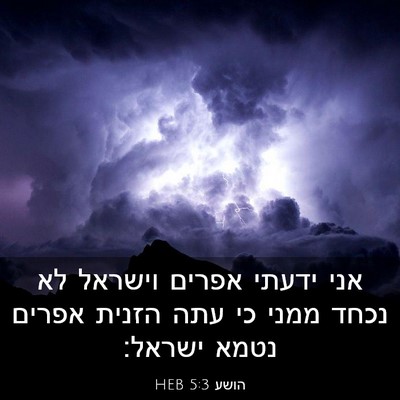 Picture 03 - הושע 5:3 HEB - אני ידעתי אפרים וישראל לא - Bible Verse Picture