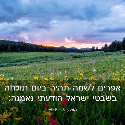 Picture 03 - הושע 5:9 HEB - אפרים לשמה תהיה ביום תוכחה - Bible Verse Picture