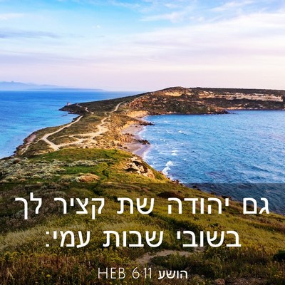 Picture 03 - הושע 6:11 HEB - גם יהודה שת קציר לך בשובי - Bible Verse Picture
