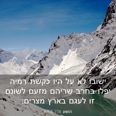 Picture 03 - הושע 7:16 HEB - ישובו לא על היו כקשת רמיה - Bible Verse Picture