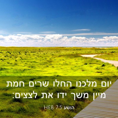 Picture 03 - הושע 7:5 HEB - יום מלכנו החלו שרים חמת - Bible Verse Picture