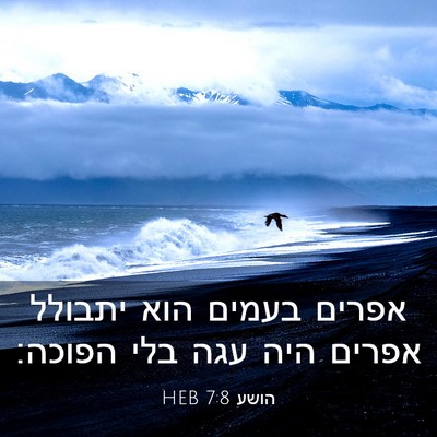 Picture 03 - הושע 7:8 HEB - אפרים בעמים הוא יתבולל - Bible Verse Picture