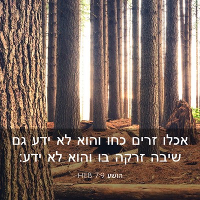 Picture 03 - הושע 7:9 HEB - אכלו זרים כחו והוא לא ידע - Bible Verse Picture