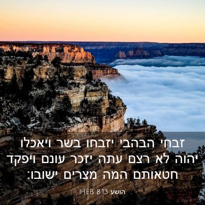 Picture 03 - הושע 8:13 HEB - זבחי הבהבי יזבחו בשר - Bible Verse Picture