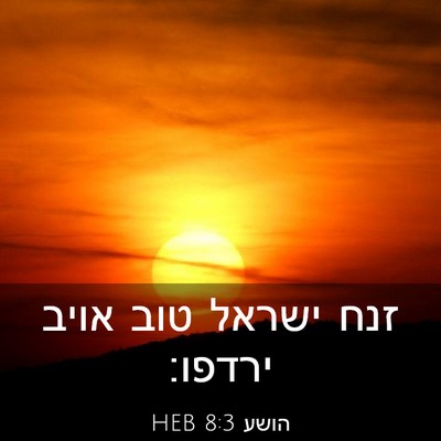 Picture 03 - הושע 8:3 HEB - זנח ישראל טוב אויב - Bible Verse Picture