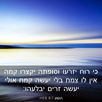 Picture 03 - הושע 8:7 HEB - כי רוח יזרעו וסופתה יקצרו - Bible Verse Picture