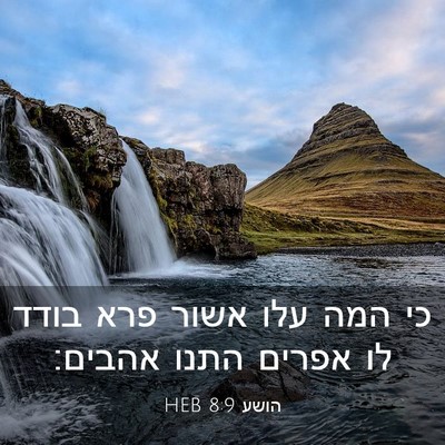Picture 03 - הושע 8:9 HEB - כי המה עלו אשור פרא בודד לו - Bible Verse Picture