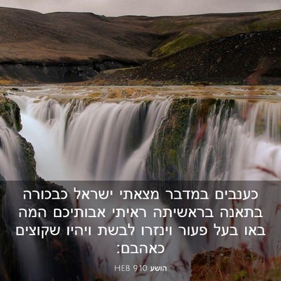 Picture 03 - הושע 9:10 HEB - כענבים במדבר מצאתי ישראל - Bible Verse Picture