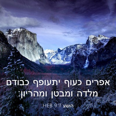 Picture 03 - הושע 9:11 HEB - אפרים כעוף יתעופף כבודם - Bible Verse Picture