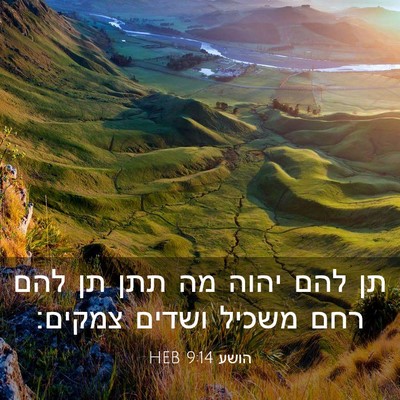 Picture 03 - הושע 9:14 HEB - תן להם יהוה מה תתן תן להם - Bible Verse Picture