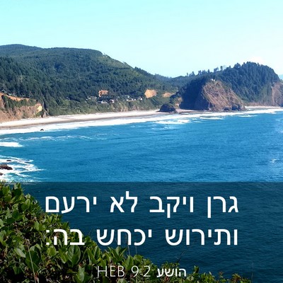 Picture 03 - הושע 9:2 HEB - גרן ויקב לא ירעם ותירוש - Bible Verse Picture