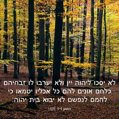Picture 03 - הושע 9:4 HEB - לא יסכו ליהוה יין ולא יערבו - Bible Verse Picture