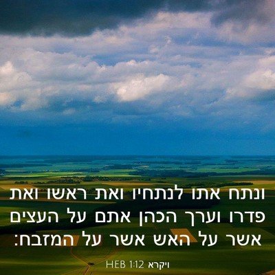 Picture 03 - ויקרא 1:12 HEB - ונתח אתו לנתחיו ואת ראשו - Bible Verse Picture