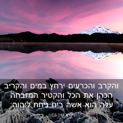 Picture 03 - ויקרא 1:13 HEB - והקרב והכרעים ירחץ במים - Bible Verse Picture