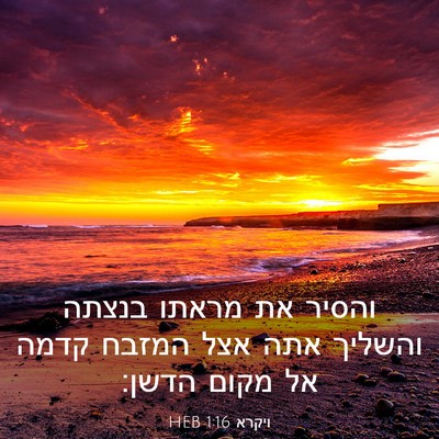 Picture 03 - ויקרא 1:16 HEB - והסיר את מראתו בנצתה - Bible Verse Picture