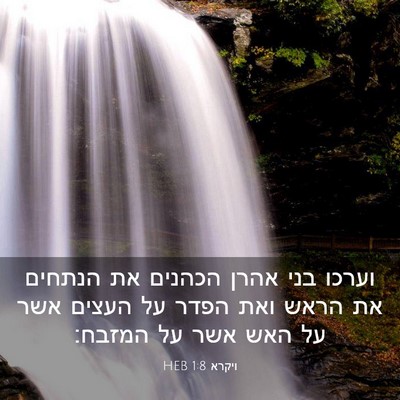 Picture 03 - ויקרא 1:8 HEB - וערכו בני אהרן הכהנים את - Bible Verse Picture
