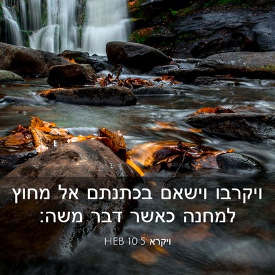 Picture 03 - ויקרא 10:5 HEB - ויקרבו וישאם בכתנתם אל - Bible Verse Picture