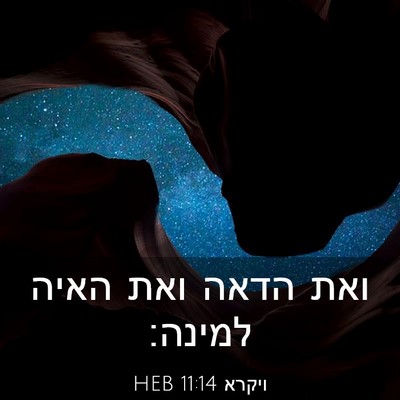 Picture 03 - ויקרא 11:14 HEB - ואת הדאה ואת האיה - Bible Verse Picture