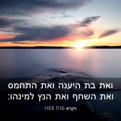 Picture 03 - ויקרא 11:16 HEB - ואת בת היענה ואת התחמס ואת - Bible Verse Picture