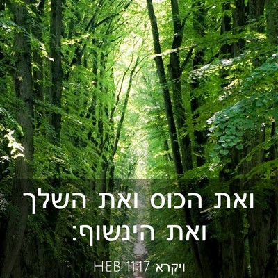 Picture 03 - ויקרא 11:17 HEB - ואת הכוס ואת השלך ואת - Bible Verse Picture