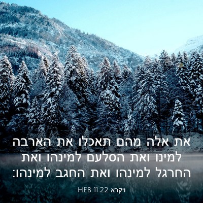 Picture 03 - ויקרא 11:22 HEB - את אלה מהם תאכלו את הארבה - Bible Verse Picture