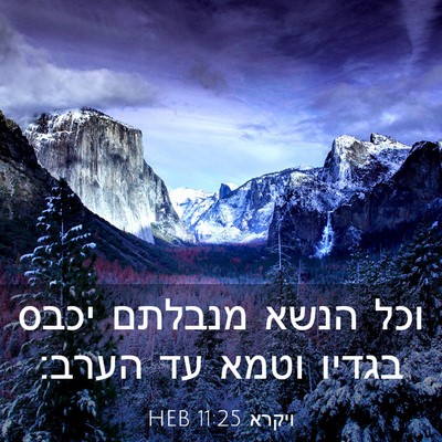 Picture 03 - ויקרא 11:25 HEB - וכל הנשא מנבלתם יכבס בגדיו - Bible Verse Picture