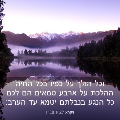 Picture 03 - ויקרא 11:27 HEB - וכל הולך על כפיו בכל החיה - Bible Verse Picture