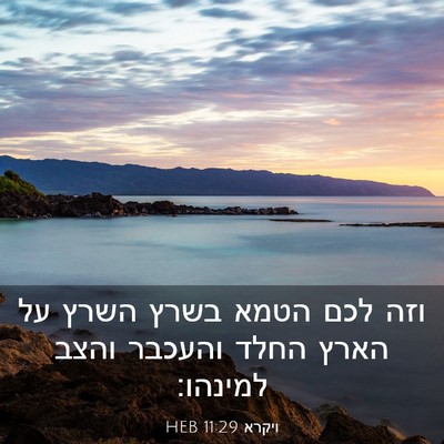 Picture 03 - ויקרא 11:29 HEB - וזה לכם הטמא בשרץ השרץ על - Bible Verse Picture