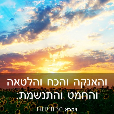 Picture 03 - ויקרא 11:30 HEB - והאנקה והכח והלטאה והחמט - Bible Verse Picture