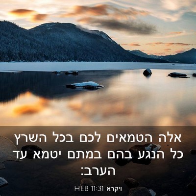 Picture 03 - ויקרא 11:31 HEB - אלה הטמאים לכם בכל השרץ כל - Bible Verse Picture