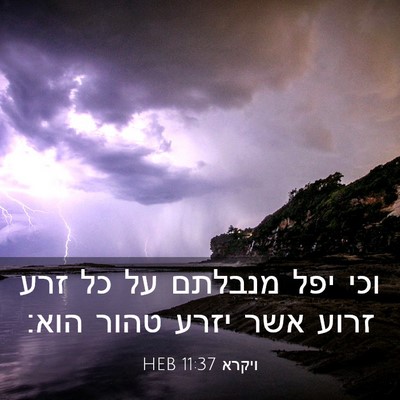 Picture 03 - ויקרא 11:37 HEB - וכי יפל מנבלתם על כל זרע - Bible Verse Picture