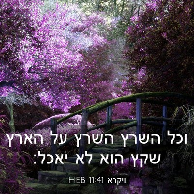 Picture 03 - ויקרא 11:41 HEB - וכל השרץ השרץ על הארץ שקץ - Bible Verse Picture