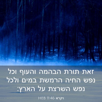 Picture 03 - ויקרא 11:46 HEB - זאת תורת הבהמה והעוף וכל - Bible Verse Picture