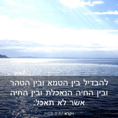 Picture 03 - ויקרא 11:47 HEB - להבדיל בין הטמא ובין הטהר - Bible Verse Picture