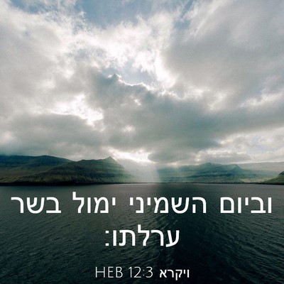Picture 03 - ויקרא 12:3 HEB - וביום השמיני ימול בשר - Bible Verse Picture