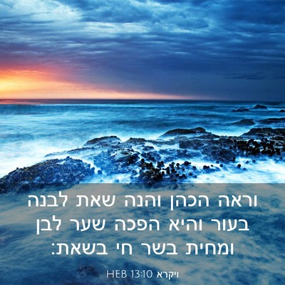 Picture 03 - ויקרא 13:10 HEB - וראה הכהן והנה שאת לבנה - Bible Verse Picture