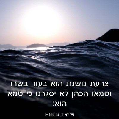 Picture 03 - ויקרא 13:11 HEB - צרעת נושנת הוא בעור בשרו - Bible Verse Picture