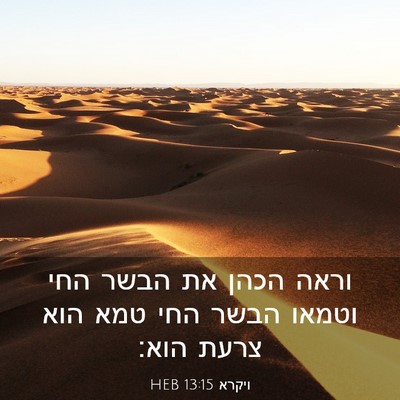 Picture 03 - ויקרא 13:15 HEB - וראה הכהן את הבשר החי וטמאו - Bible Verse Picture