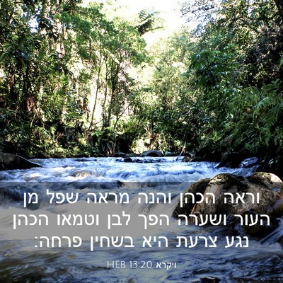 Picture 03 - ויקרא 13:20 HEB - וראה הכהן והנה מראה שפל מן - Bible Verse Picture