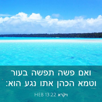 Picture 03 - ויקרא 13:22 HEB - ואם פשה תפשה בעור וטמא הכהן - Bible Verse Picture