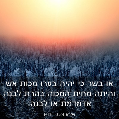 Picture 03 - ויקרא 13:24 HEB - או בשר כי יהיה בערו מכות אש - Bible Verse Picture